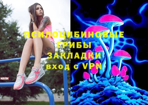бошки Ладушкин