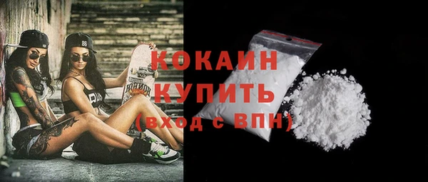 бошки Ладушкин