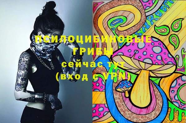 героин Лагань