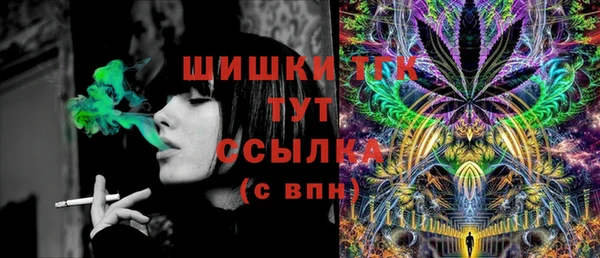 бошки Ладушкин