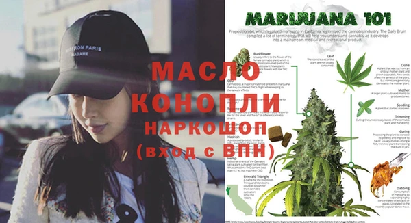 бошки Ладушкин