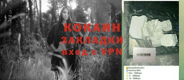 бошки Ладушкин